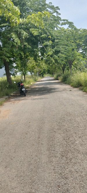 bán đất dự án the star village đường ngô quang thắm nhà bè diện tích 82m2 giá 32,5tr/m2