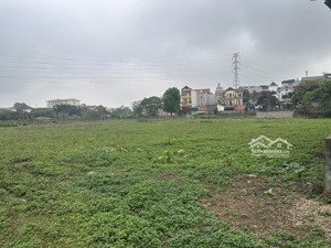 kho, nhà xưởng cho thuê tại dương đình nghệ, giá thỏa thuận, 16000 m2, cầu giấy, hn