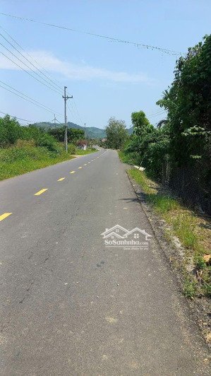 bán nhanh lô đất thổ cư. giá ngộp. tại xã diên tân , huyện diên khánh , khánh hoà . d