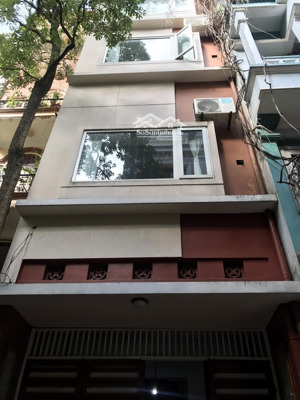 cho thuê căn hộ p202: 38m2 ngõ 49 huỳnh thúc kháng, láng hạ