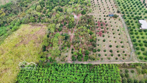 đất vườn đường bê tông xe hơi, view đẹp. đường xe hơi. giá chỉ 600tr/sào (tl) hàng gòn long khánh