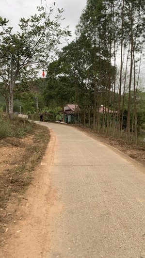 bán đất 3000m2, 400tc, 1.5 tỷ tại xã đồng lạc, yên thế, bắc giang - đẹp, nhiều tiện ích