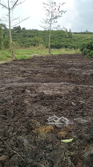 bán đất mặt tiền hồ, gần đường lớn & cao tốc tại bảo lâm, lâm đồng - chính chủ