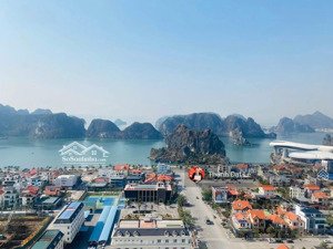 chính chủ cần bán căn 2pn 63m2 view biển chung cư đông bắc, cột 3, trung tâm tp hạ long.