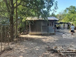 góc 2 mặt tiền trang trại khu nghỉ dưỡng 2.318m2 ở kênh đông, bến củi, dương minh châu, tây ninh.