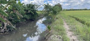 bán gấp đất nền 5.209m2 tại vĩnh chánh, thoại sơn, an giang, giá 199 triệu