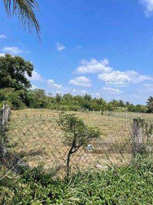 bán 140m2 đất thổ, 420 củ tại quốc lộ 50, xã phước đông, cần đước. ngay đường tránh cần đước. shr