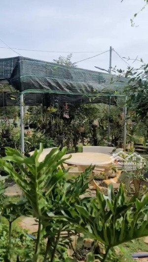 cần bán gấp đất nhà vườn nghỉ dưỡng 2.300m2 tại madagui, lâm đồng giá ngộp