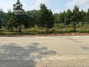 Cần bán mảnh đất vườn sổ sẵn hơn 1000m2 ( 12 x 85 ) ngay trung tâm thành phố