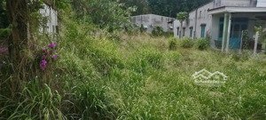 10x38=379m2 (có 200m2 thổ cư) cần bán lô đất tại xã an tịnh, trảng bàng, tây ninh giá: 430tr