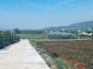 bán đất nền 169m2 tại xã liên hiệp, đức trọng, lâm đồng, 980 triệu