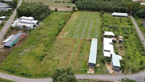 4.500 m2 đất hnk phù hợp tc mặt tiền đường nhựa thông chỉ 2 tỷ 6