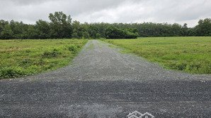 2200m2 có 50m2 thổ cư mặt tiền nhựa phù hợp nhà vườn, kho bãi