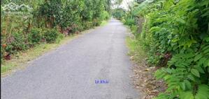 Bán vườn sầu riêng: 21.600m² (36m x 600m, thổ 600m²) Đường nhựa xe ô tô, xã Thanh Mỹ, H Tháp Mười., đồng tháp