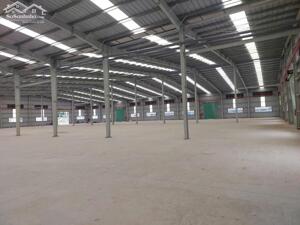 Cần Cho thuê kho khu vực Mỹ Xuân- Xuyên mộc- Châu Đức - Long Điền - Vũng Tàu - Bà rịa Và Toàn Tỉnh Bà Rịa Vũng Tàu