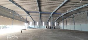 chính chủ cho thuê kho sầu riêng km23 ql.26 ea kênh - krông pắc. giá tốt nhất