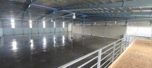 cho thuê kho mới 100% + sân bãi 2500m2 eakenh krong pắc- thuê 1 vụ hoặc dài hạn