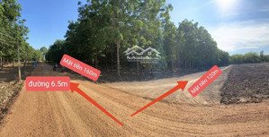 2,5ha 3 mặt tiền đường ngay kcn bến củi! giá sốc chỉ 12 tỷ! chậm tay là mất cơ hội triệu đô!