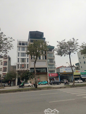 siêu phẩm mặt phố trịnh văn bô 60m2, 5t, mt 5m - lô góc, vỉa hè đá bóng - kinh doanh sầm uất nhất