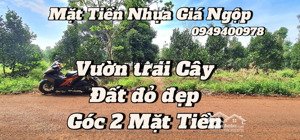 bán nhà vườn trái cây 9.888m2 đất đỏ bazan, góc 2 mặt tiền 190m, đường nhựa 6m tại châu đức, brvt