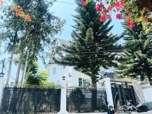 hạ gấp thêm 5 tỷ bán villa triệu việt vương cách chợ đêm đà lạt 2km - đường ô tô thoải mái