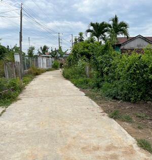Bán đất vườn Ninh Phụng đối diện quán Mộc Farm view sông Dinh Ninh Hoà
