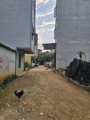 bán đất tại tiên phương, chương mỹ, hà nội, 3,96 tỷ, 88 m2, đẹp, nhiều tiện ích