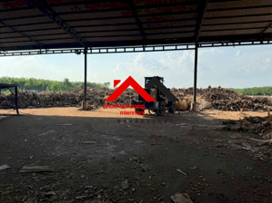 Cho Thuê Xưởng Cưa Xẻ Và Viên Nén Gỗ Tại Chơn Thành – Bình Phước | 70.000m² | Xưởng 30.000m² | Liên hệ: Chothuexuongmiennam.com - 0366632092
