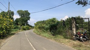 vườn bưởi 1,4 ha tại xã phú lý huyện vĩnh cửu, tỉnh đồng nai, trước đường nhựa, sau có suối