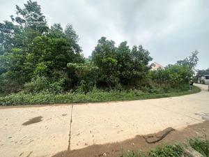 736m2 đất trang trại, làm nhà vườn, homestay tại bắc sơn - sóc sơn giá 1,3 tỷ