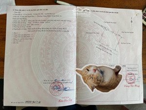 bán kho, nhà xưởng tại trần tất văn, tràng minh, kiến an, hải phòng, giá tốt