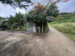 chỉ khoảng 1,8 triệu/m² sở hữu ngay 3.000m² không gian sống xanh tại phước đồng nha trang.