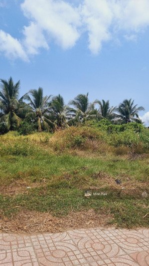 cần tiền bán gấp đất đường 6m, đ. liên xã phú nhuận,bến tre, gần trại giam tỉnh, 155m2/ 430 triệu