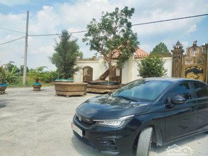 bán đất tại phước đông, cần đước, long an, 10,85 tỷ, 1356m2 đất thổ cư