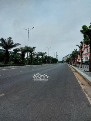 bán shophouse đẹp tại dragon ocean đồ sơn, 12,3 tỷ, 108m2, nhiều tiện ích