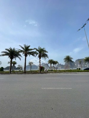 cho thuê nhanh căn biệt thự bao biển cột 5 - hạ long. giá không thể tốt hơn