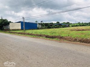 tôi bán 1019m2 đất ngay tthc gần kcn, ngay chợ. bán rẻ 230 triệu