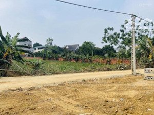 bán trang trại khu nghỉ dưỡng ở đồng chằm, 5,5 tỷ, 2.790,0m2 chỉ với hàng hiếm tại quốc oai, hà nội