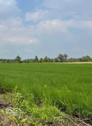 mt kênh tây, lộc ninh, dương minh châu, tây ninh