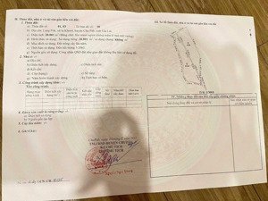 gia đình đi nước ngoài cần bán gấp vườn su 8 năm.
diện tích: 20.001 m2 vị trí đất quy hoạch