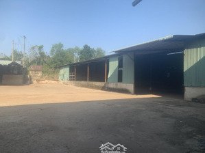 bán kho, nhà xưởng tại xã nha bích, chơn thành, bình phước, 40 tỷ vnd, 10.000 m2