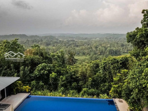 279m đất nghỉ dưỡng - sườn núi - view hồ. thế đất cao