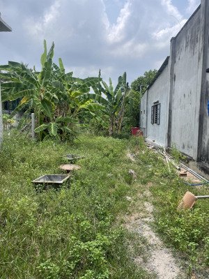 mảnh đất 2 mặc tiền - giá cực rẻ gần tp tây ninh