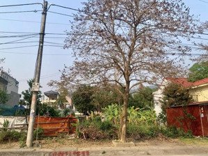 đẹp từ vị trí đến tiện ích, bán lô đất đẹp đường nguyễn hữu an