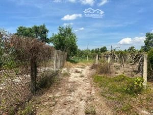 1000m2 sẵn 100m2 thổ cư, tân tiến lagi gần biển