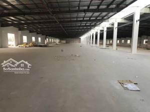 cho thuê kho xưởng siêu đẹp tại kcn đức hòa, long an, khuôn viên: 12.000m2, xưởng + vp: 8.800m2
