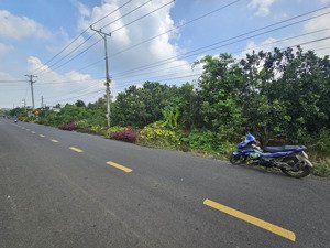 kim long, đường nhựa tim vàng trục chính 4652m2, 111m mặt đường, vườn trái cây bưởi, chôm chôm