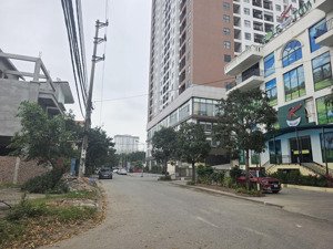 bán lô đất biệt thự dự án dabaco, gần ngay cc parkview, tp bn. giá 21, x tỷ. dt 207m2