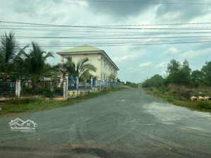 bán gấp đất sào và thổ cư 5x46 =230m2 có 100tc mặt tiền nhựa 19m gần ủy ban tân hưng, vị trí đẹp
