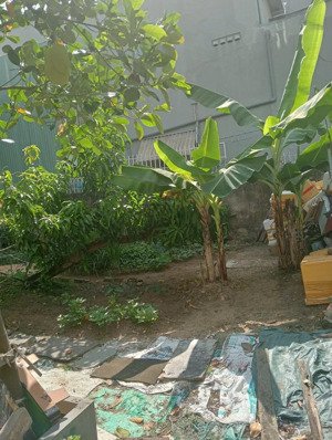 đất trống 10 x 21,5m full thổ cư, hẻm xe tăng đường 160 tnpa, q9. gần sông thoáng mát, yên tĩnh